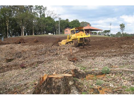 Empresa de Destocamento de Raízes na Praça da Árvore