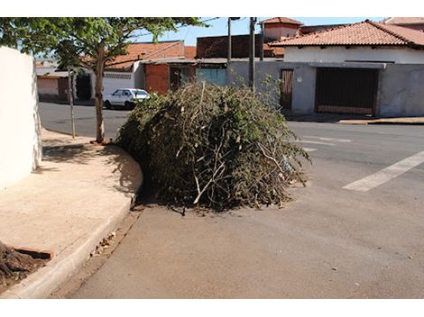 Preço de Remoção de Galhos na Vila das Mercês