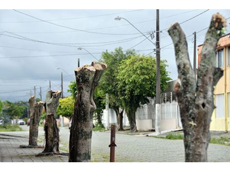 Contratar Poda de Árvores na Vila Guarani