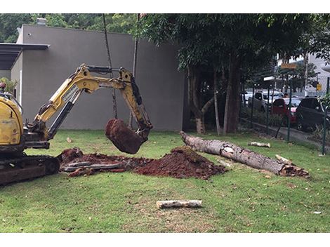 Destocamento de Raízes no Cambuci