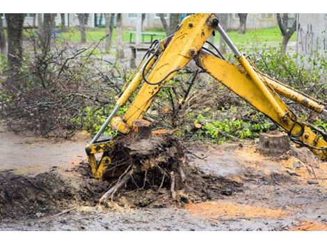 Contratar Destocamento de Raízes no Jardim Eliana